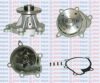 AQUAPLUS 85-6105 Water Pump